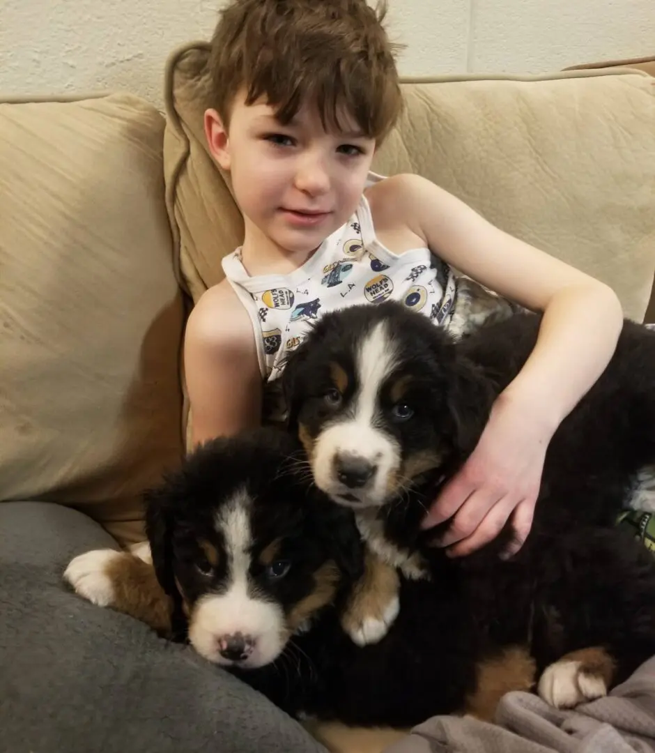 A Kid Playing With Two Puppies on a Couch