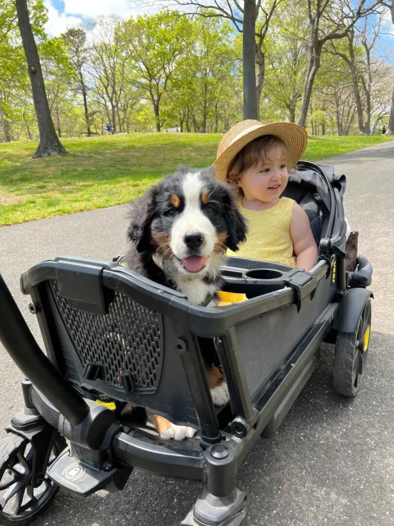 A Baby and a Puppy Sitting in a Stroller